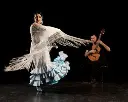 flamenco-madrid.webp