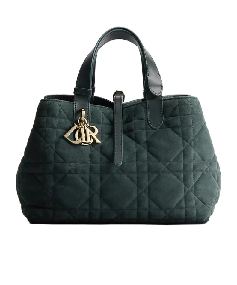 Dior Toujours Bag (Medium)